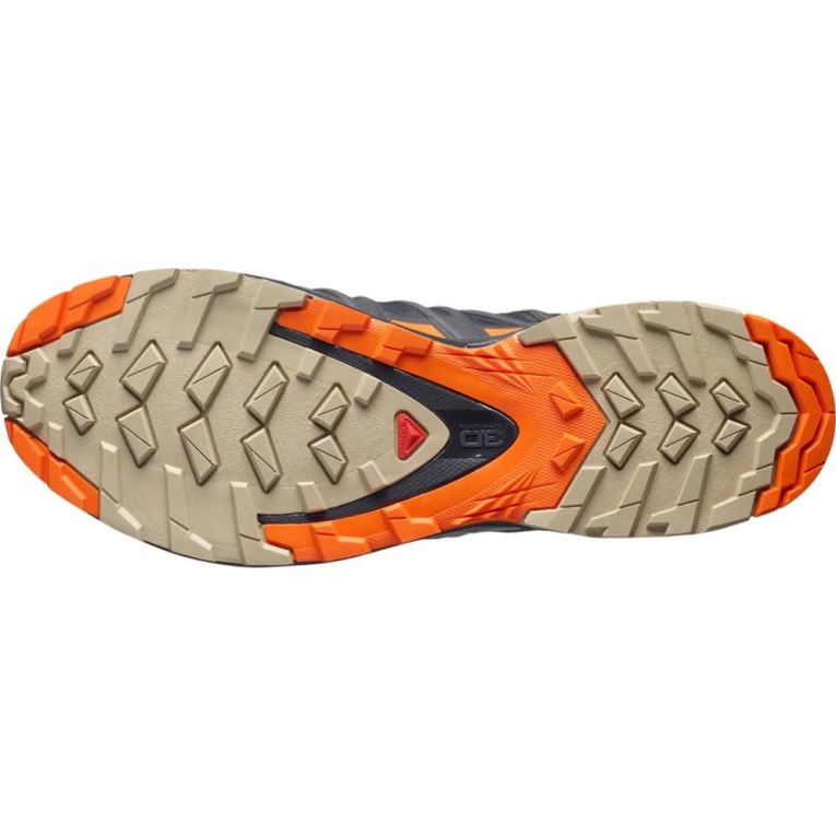 Sapatilhas Trail Running Salomon Xa Pro 3d V8 GTX Masculino Pretas Laranja | PT R37024